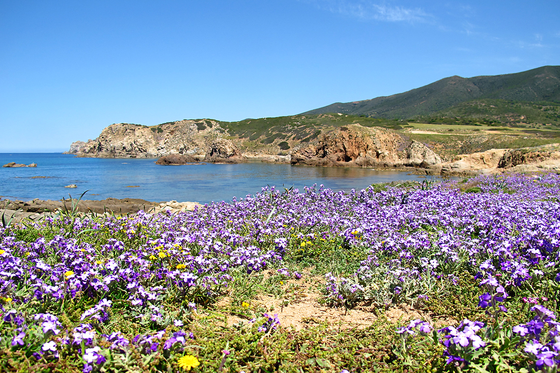 Wunderbarer Mai in Sardinien / Splendido mese maggio in Sardegna (30)
