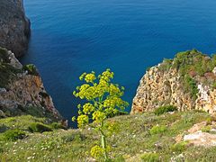 Wunderbarer Mai in Sardinien / Splendido mese maggio in Sardegna (46)