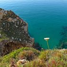 Wunderbarer Mai in Sardinien / Splendido mese maggio in Sardegna (61)