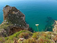 Wunderbarer Mai in Sardinien / Splendido mese maggio in Sardegna (61)