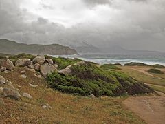 Wunderbarer Mai in Sardinien / Splendido mese maggio in Sardegna (78)