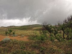 Wunderbarer Mai in Sardinien / Splendido mese maggio in Sardegna (79)