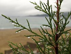 Wunderbarer Mai in Sardinien / Splendido mese maggio in Sardegna (84)