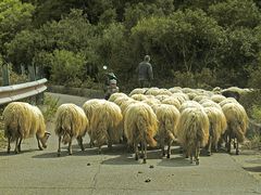 Wunderbarer Mai in Sardinien / Splendido mese maggio in Sardegna (90)