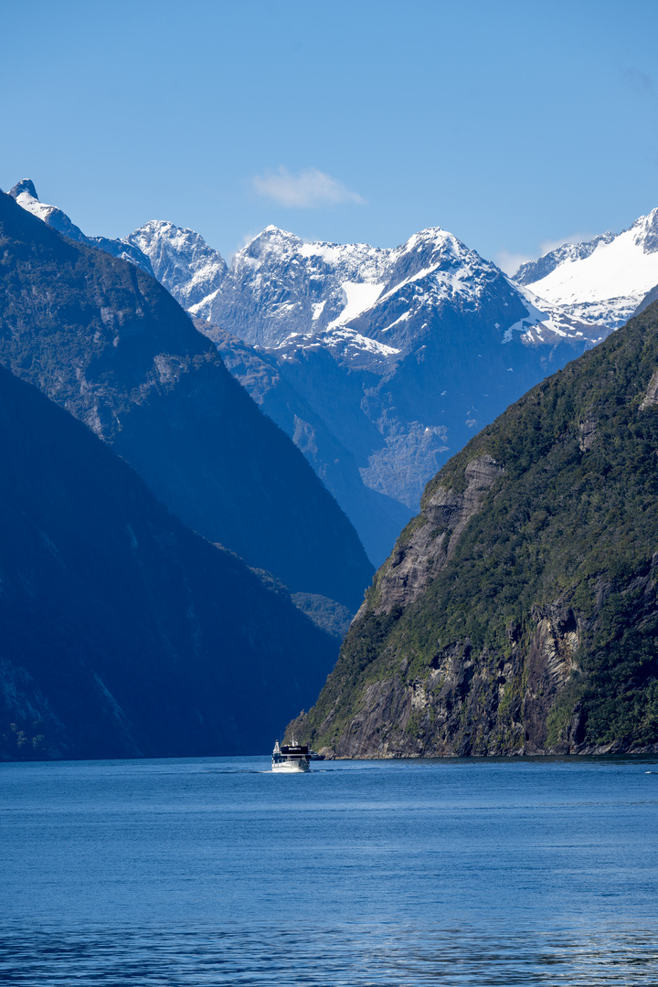 Wunderbarer Milford Sound / Piopiotahi