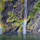 Wunderbarer Milford Sound / Piopiotahi