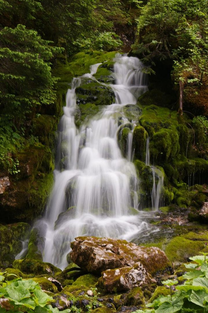 Wunderbarer Nationalpark