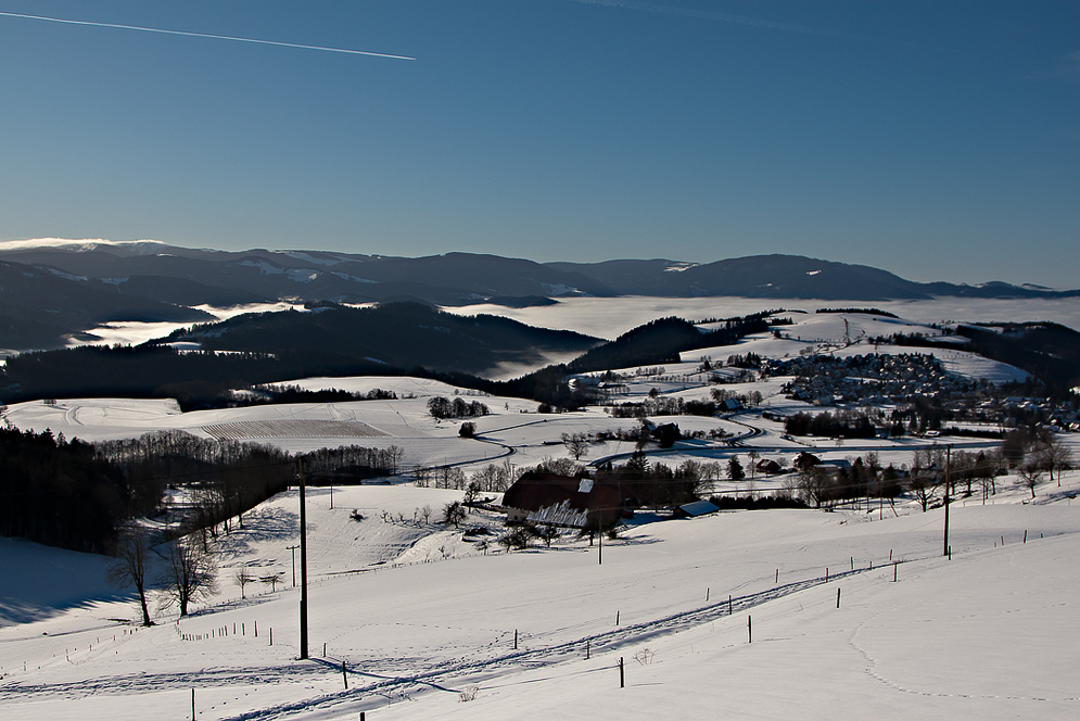 wunderbarer Schwarzwald