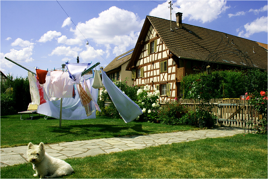 wunderbarer Sommertag in Hemishofen