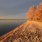 Wunderbares Abendlicht am 31.10.2018