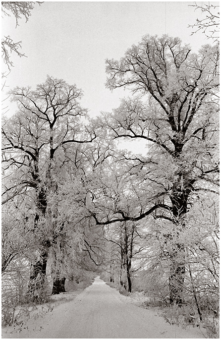 wunderbares Brandenburg [02]