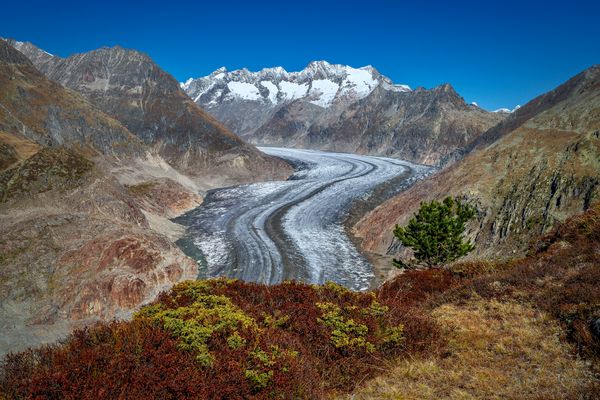 Wunderbares Farbenspiel
