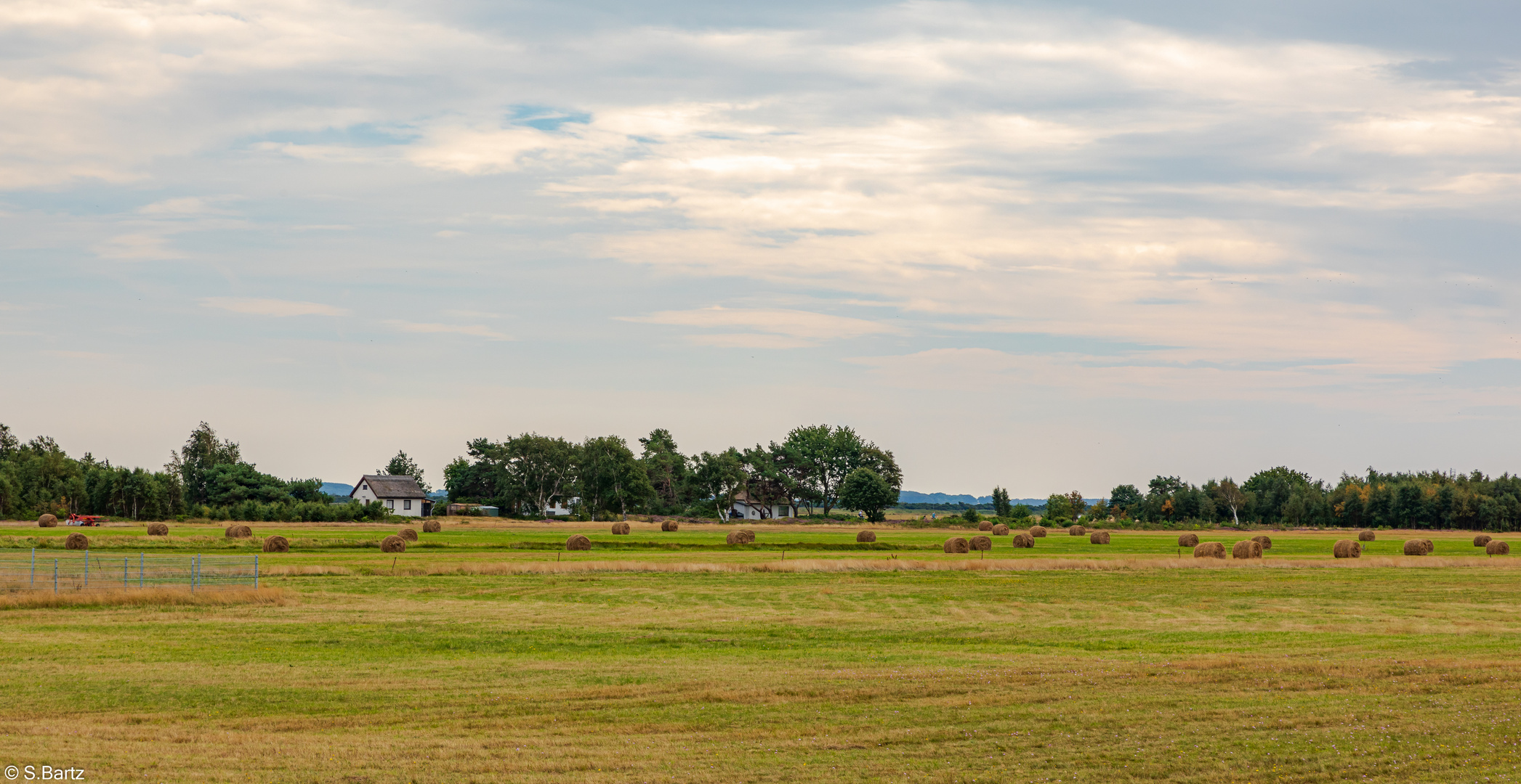 Wunderbares Hiddensee (2) _2020