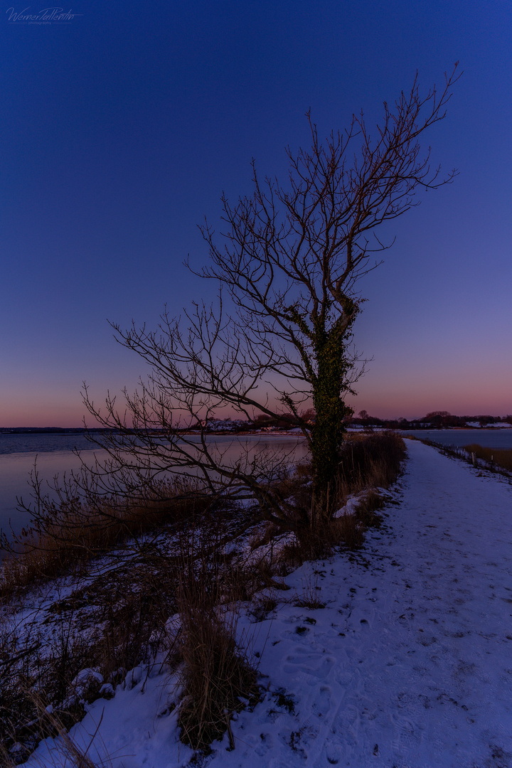 Wunderbares Licht im Winter