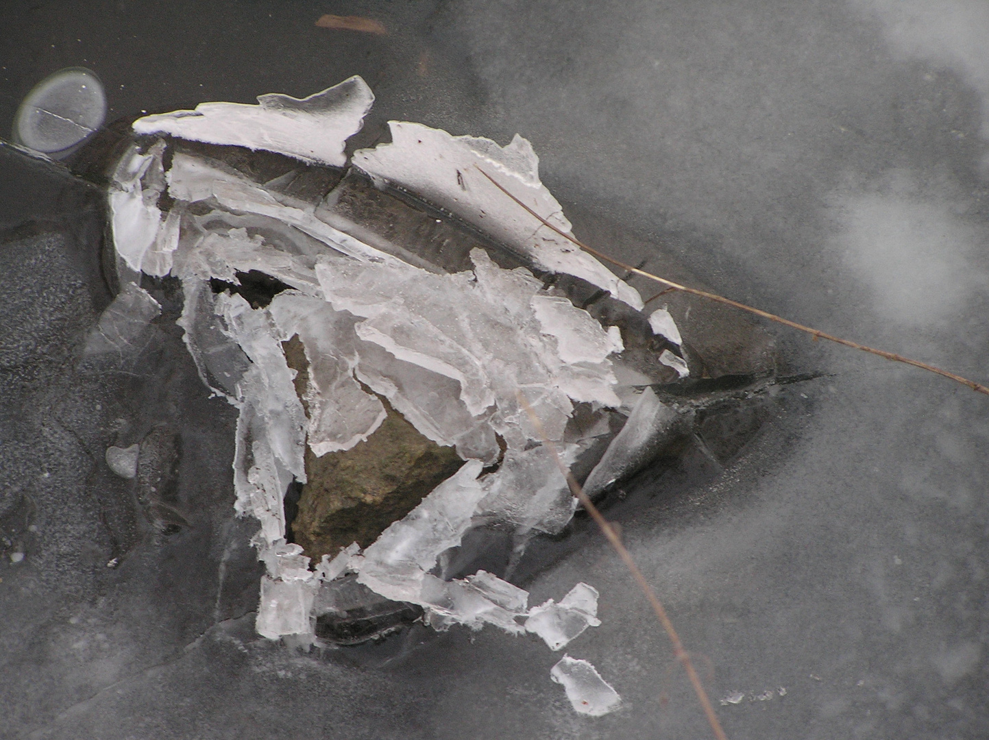 Wunderbild der Natur im Winter