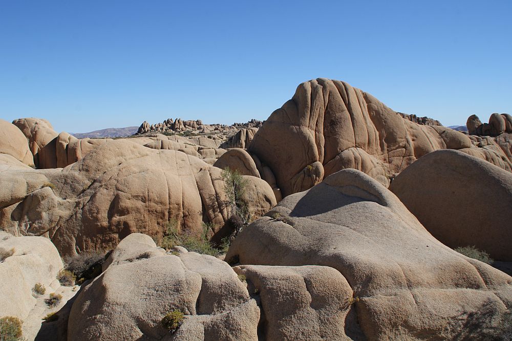 Wunderformen der Verwitterung am Skull Rock Trail...