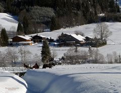 "Wunderland bei Tannheim in Tirol 1"