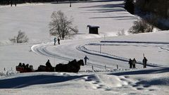 *"Wunderland bei Tannheim in Tirol 3"