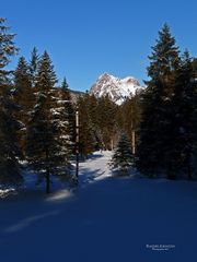 "Wunderland bei Tannheim in Tirol 8"