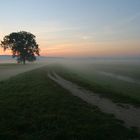 Wundermorgen #1