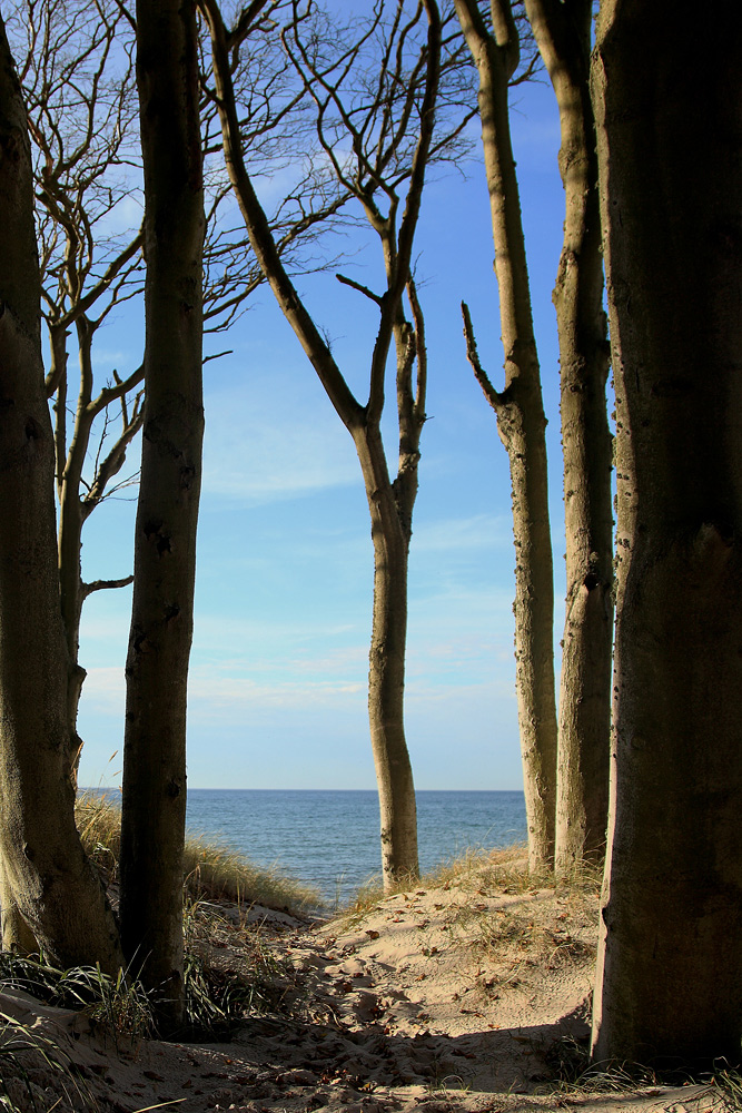 Wundersame Strandwelt