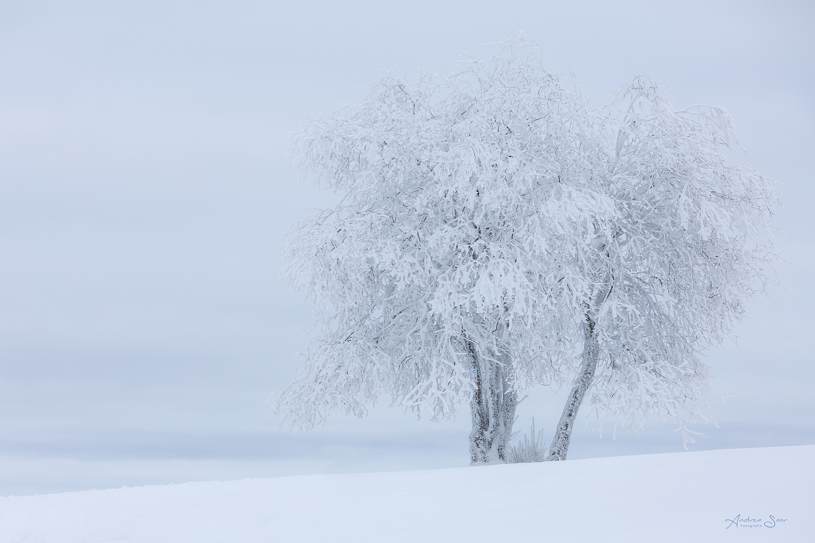 ... wundersame Winterstille ...