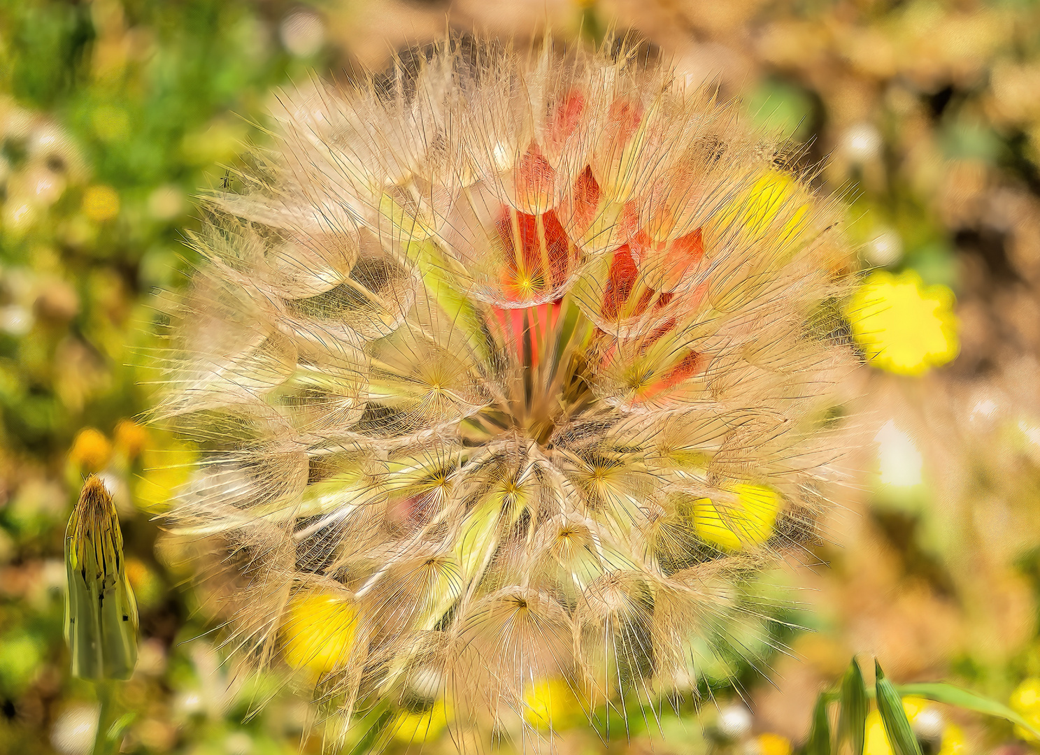 Wundersames auf Kreta