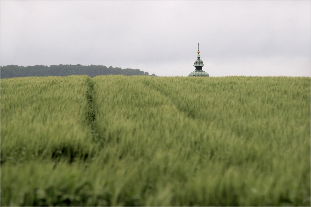 wundersames weinviertel