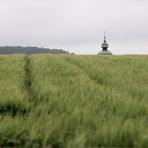 wundersames weinviertel