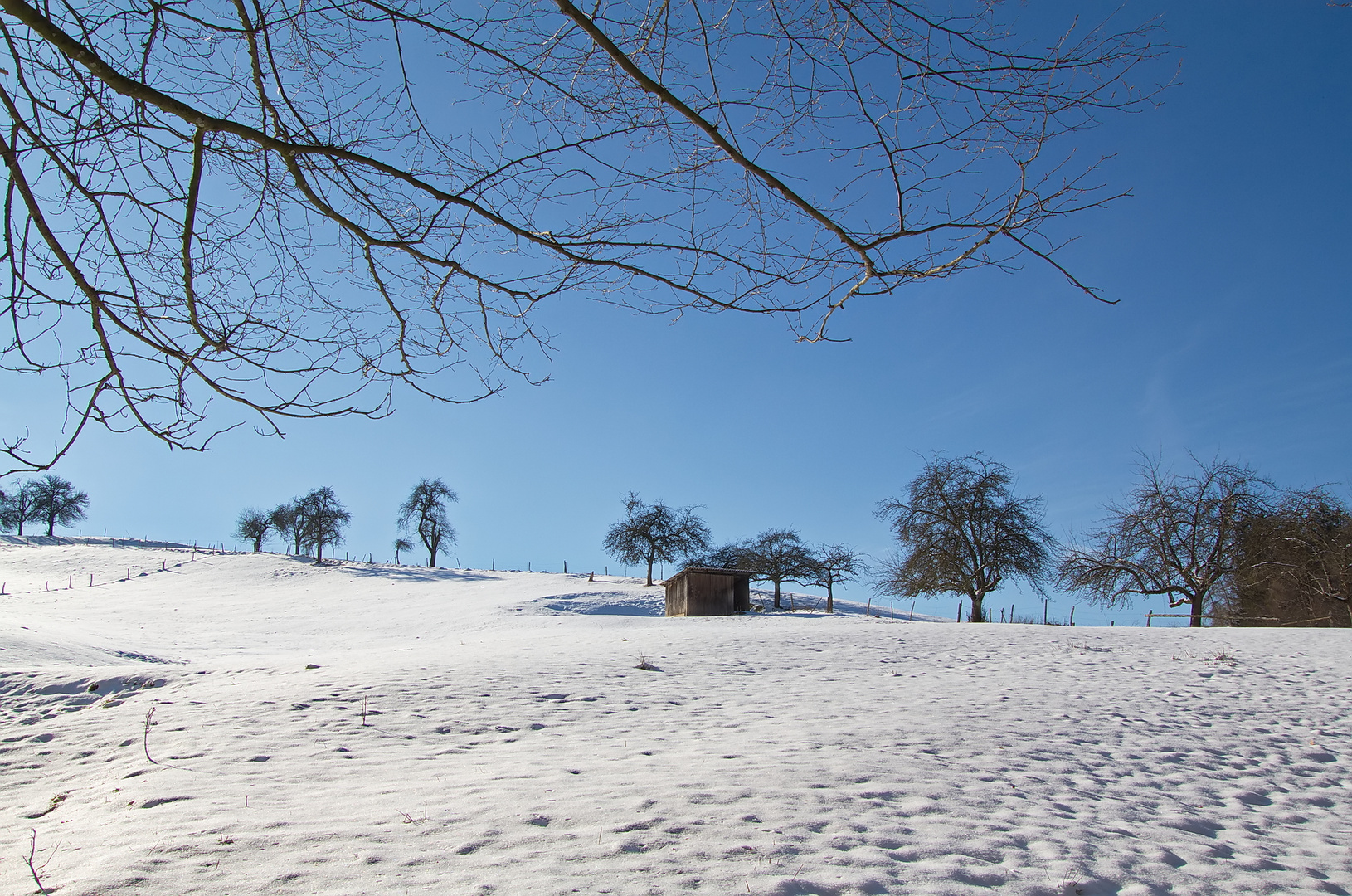 Wunderschön aber Eiskalt......