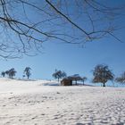 Wunderschön aber Eiskalt......