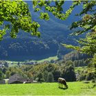 Wunderschön ist es in der Ramsau