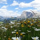 Wunderschön natura Landschaft...(finden ich...!!!)