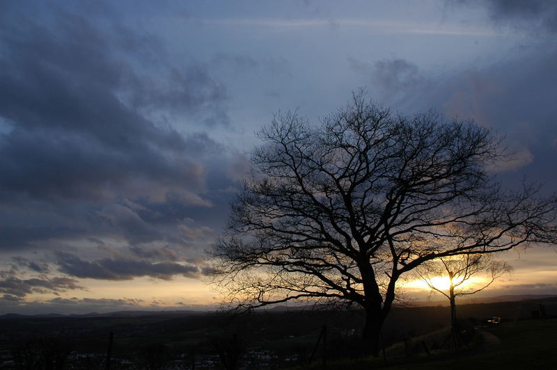 Wunderschöne Abenddämmerung