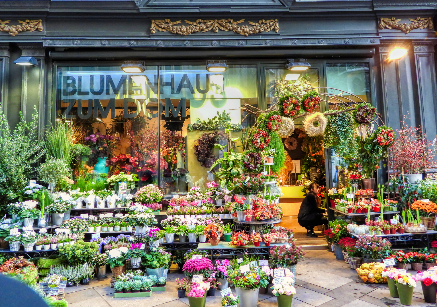 Wunderschöne Blumen (DOM Südseite) Blumenhaus Wien 1. Foto & Bild