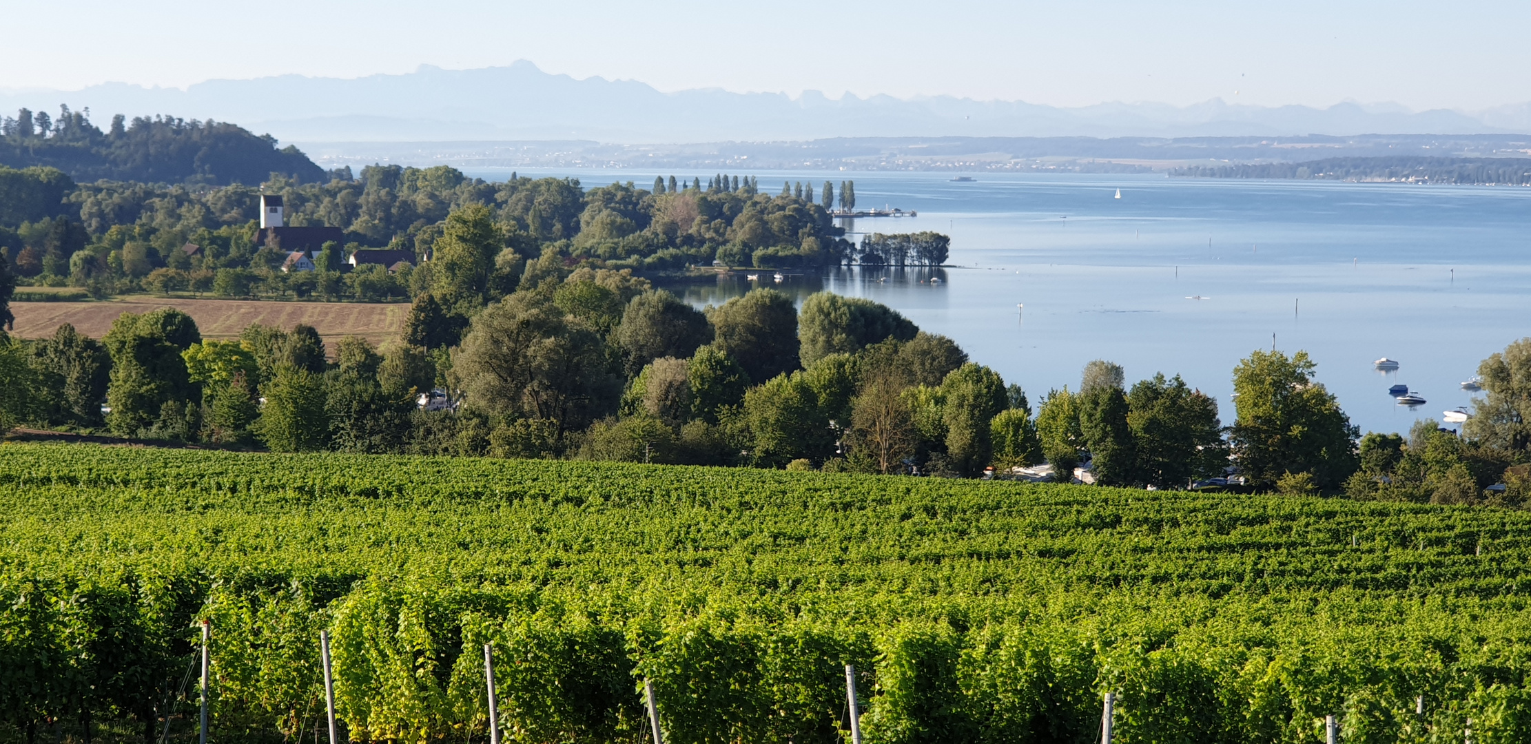 wunderschöne Bodensee-Landschaft