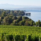 wunderschöne Bodensee-Landschaft