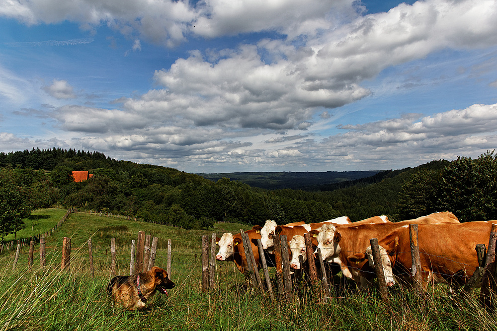 Wunderschöne Heimat