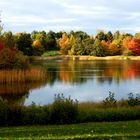 Wunderschöne Herbstfärbung!