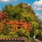 Wunderschöne Herbstfarben in Tecklenburg