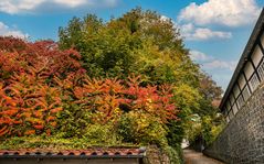 Wunderschöne Herbstfarben in Tecklenburg