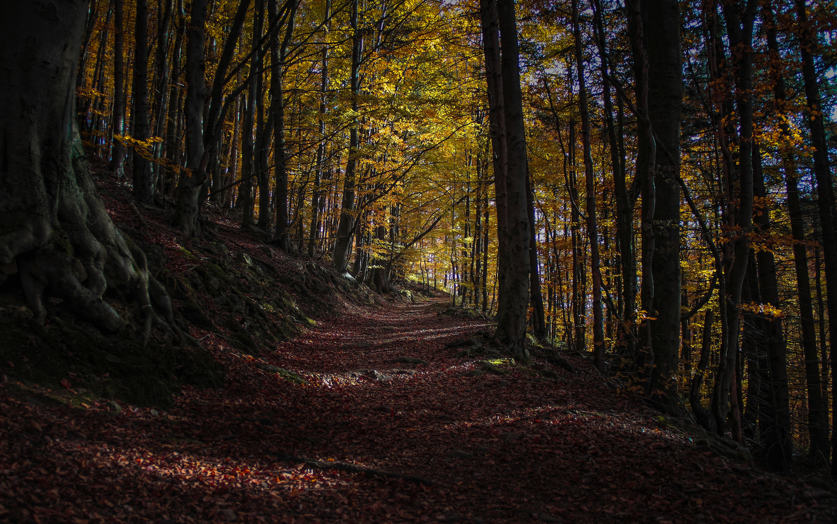 wunderschöne Herbsttage...- beautiful autumn days..