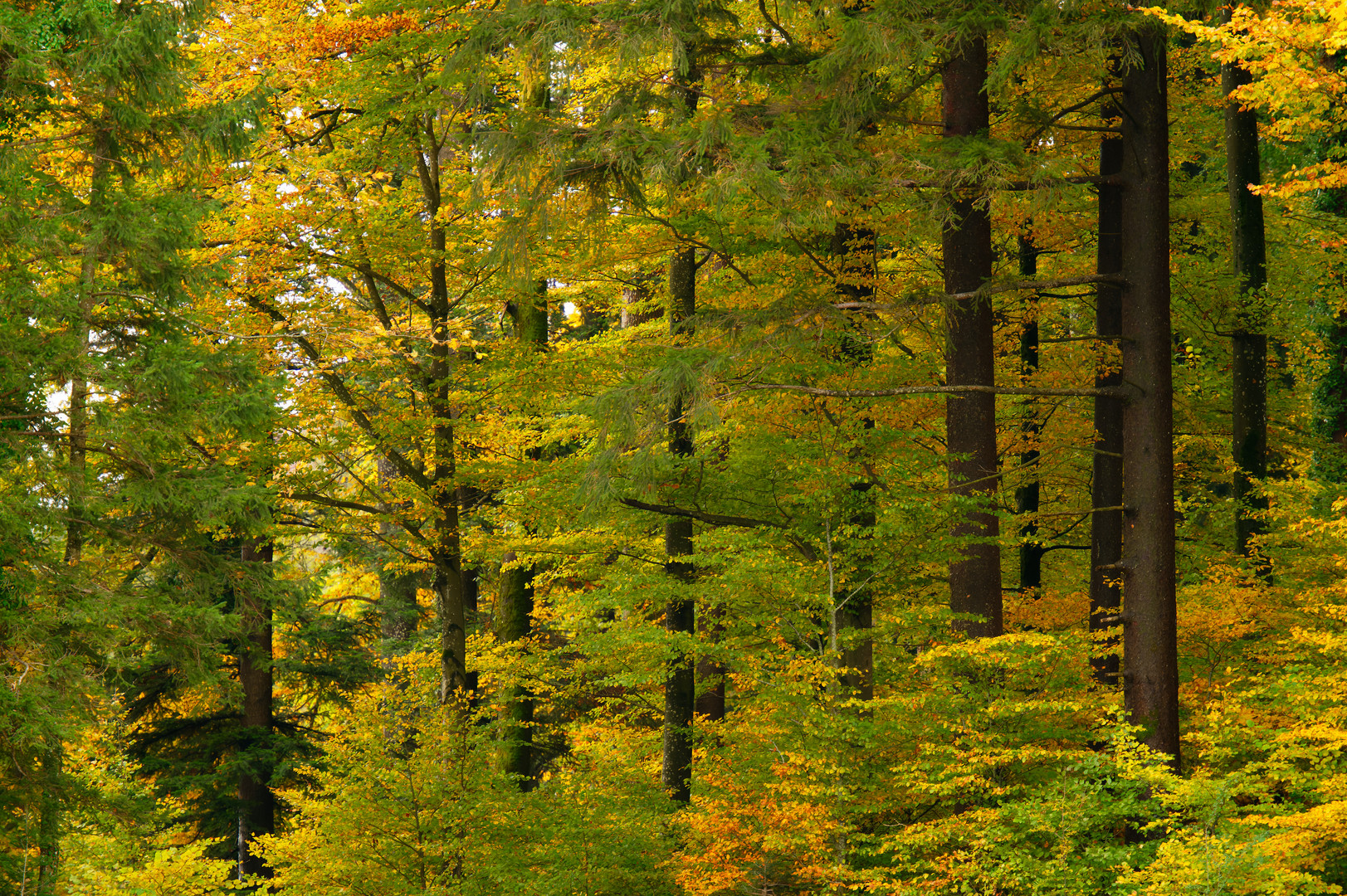 Wunderschöne Herbstzeit