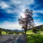 Wunderschöne Lichtstimmung bei Melschede