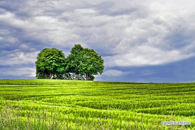 Wunderschöne Natur