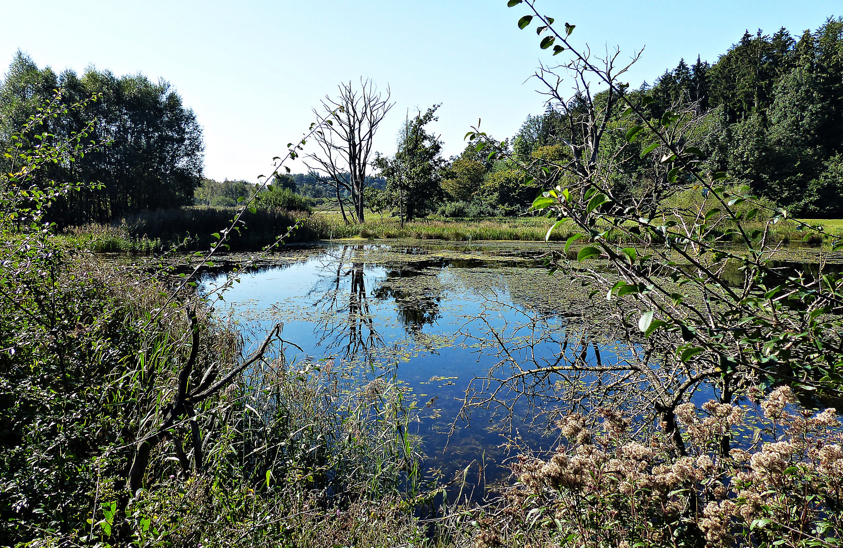 Wunderschöne Natur