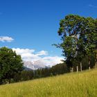 Wunderschöne Natur