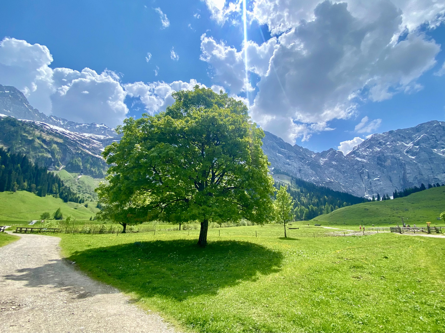 Wunderschöne Natur am Großen Ahornboden 