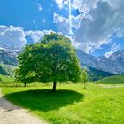 Wunderschöne Natur am Großen Ahornboden 