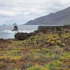 Wunderschöne Natur auf El Hierro